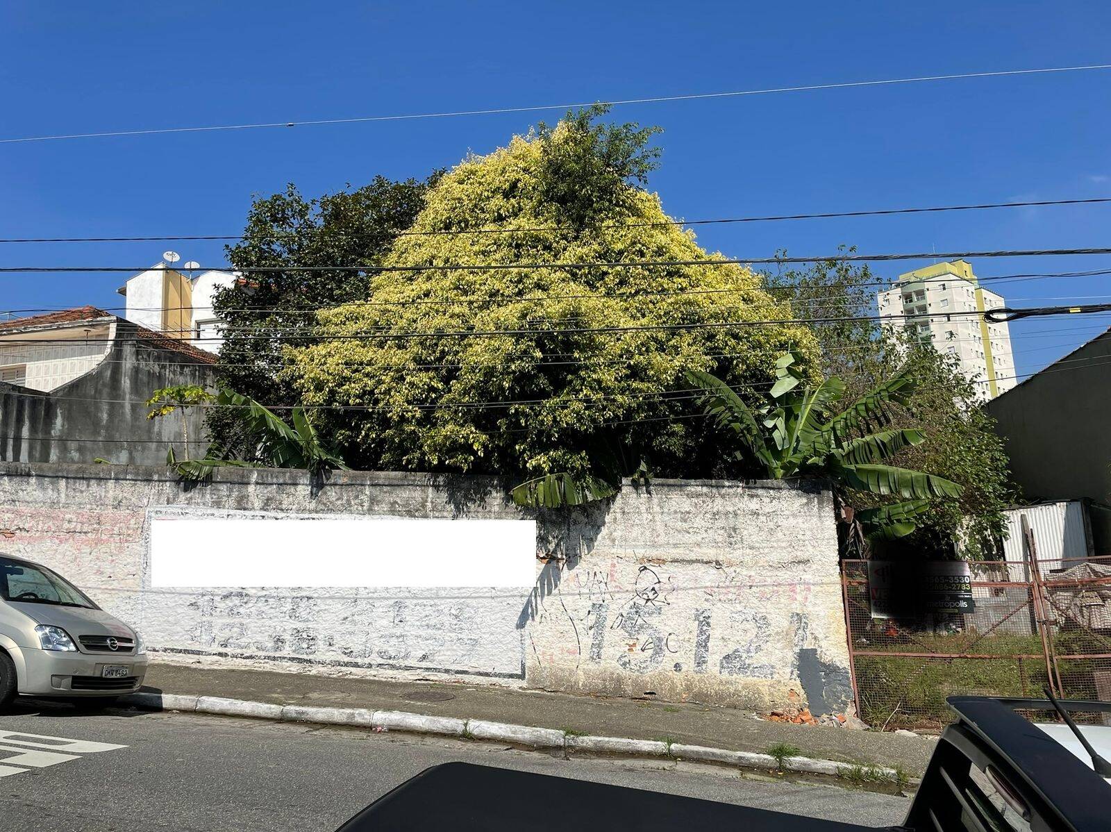 Terreno à venda, 1000m² - Foto 3