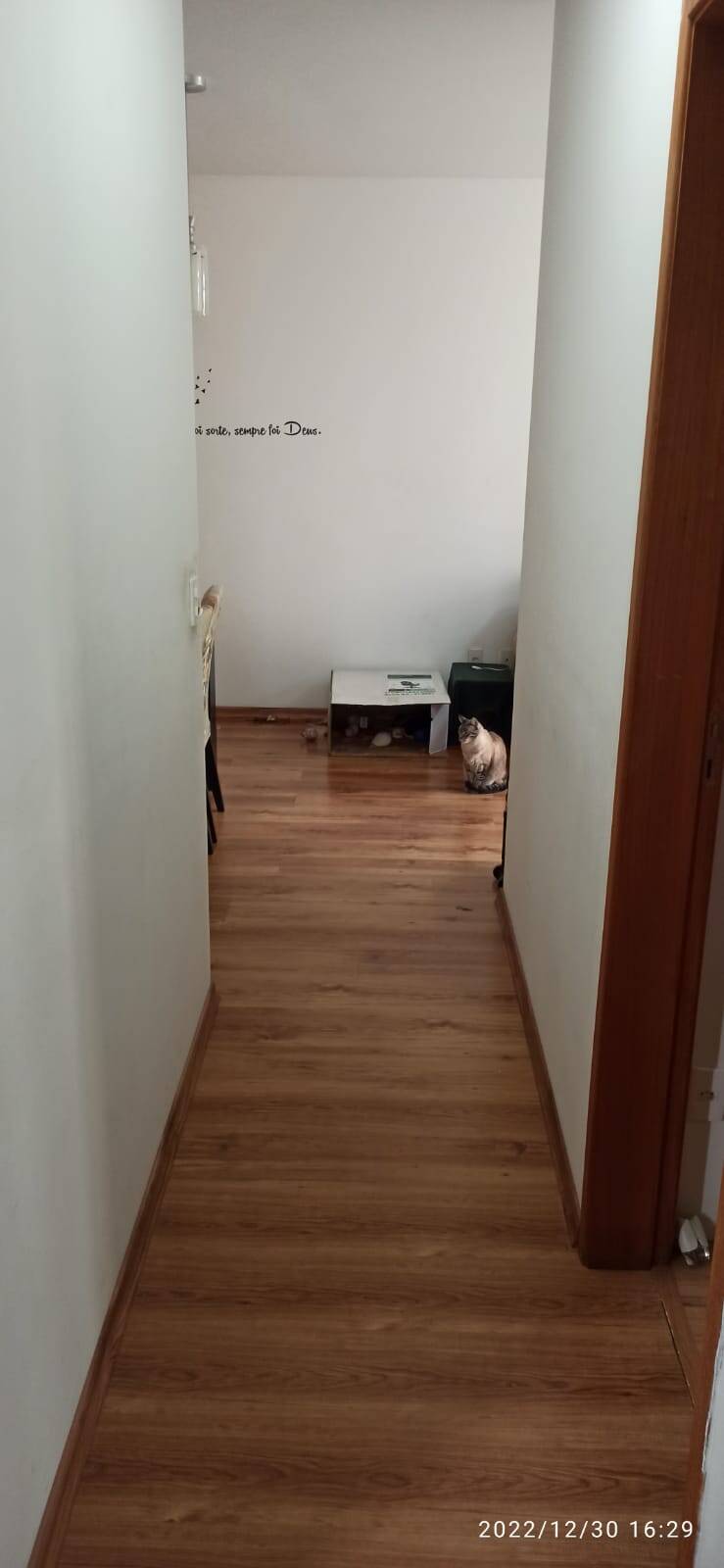 Apartamento à venda com 3 quartos, 60m² - Foto 48