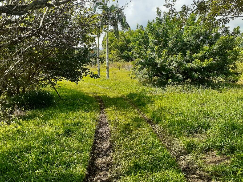 Fazenda à venda com 5 quartos, 12500m² - Foto 22