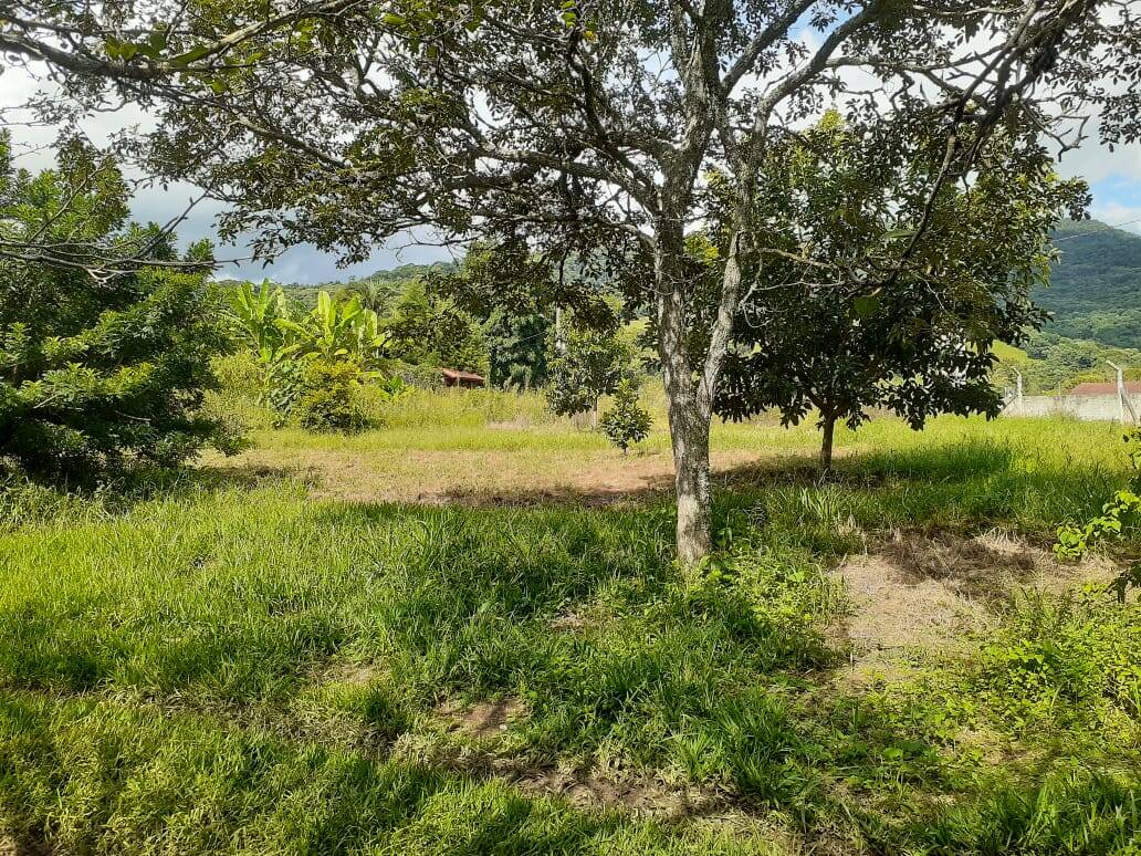 Fazenda à venda com 5 quartos, 12500m² - Foto 23