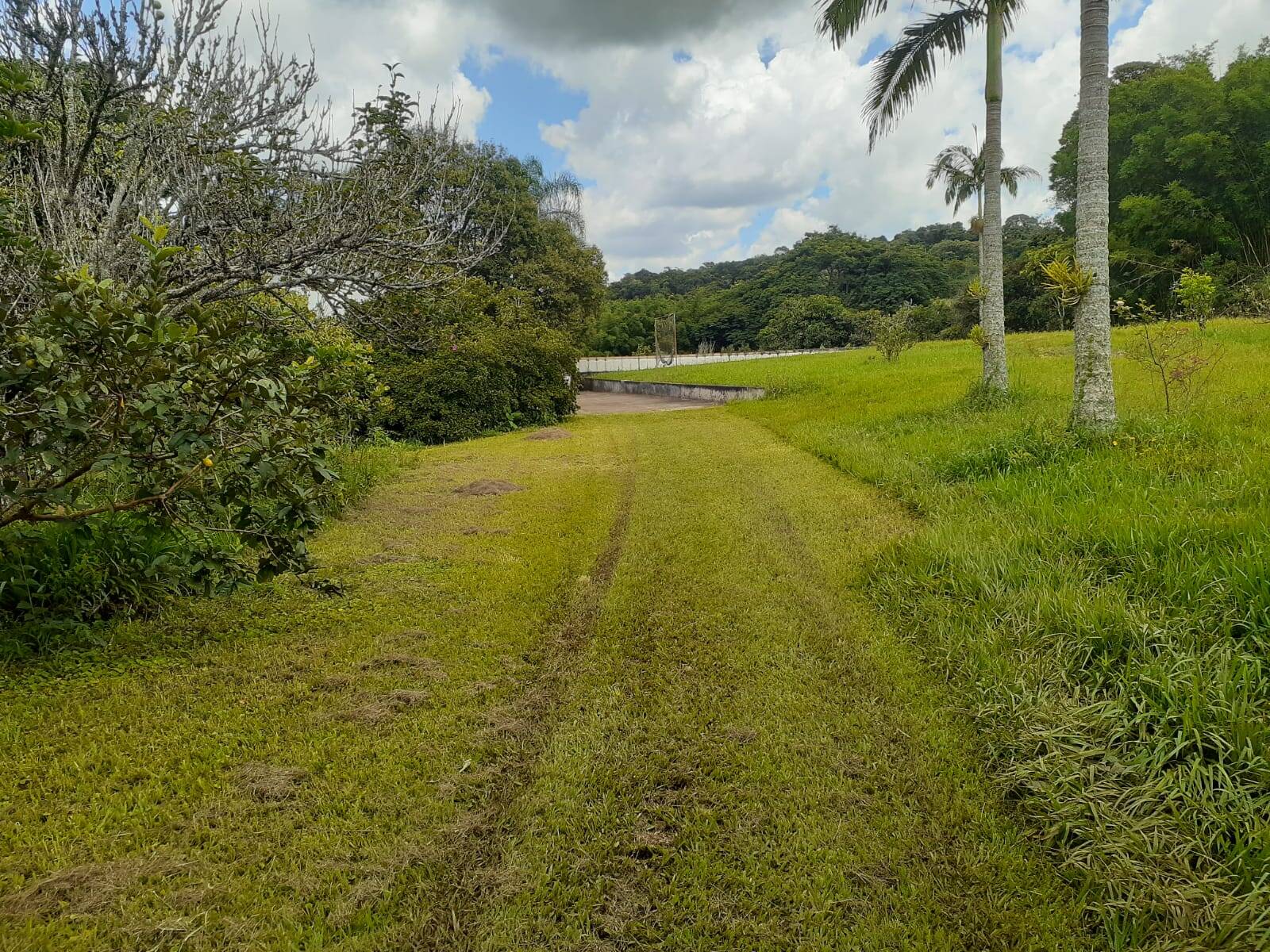 Fazenda à venda com 5 quartos, 12500m² - Foto 20