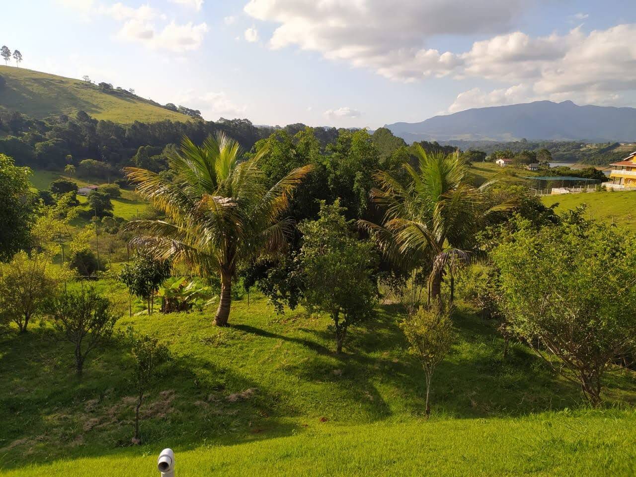 Fazenda à venda com 3 quartos, 250m² - Foto 11