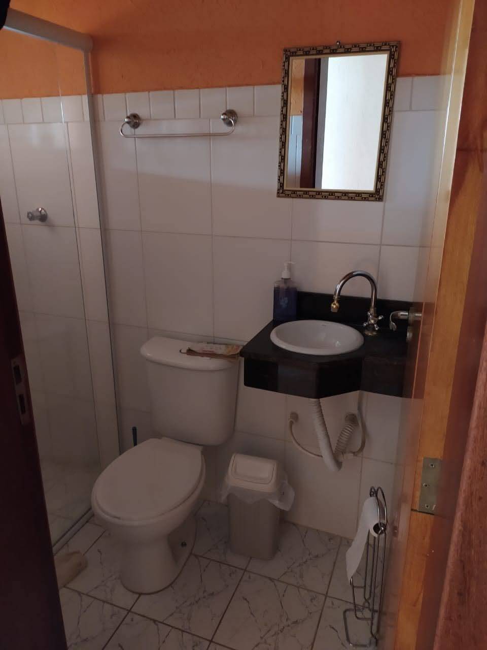 Fazenda à venda com 3 quartos, 250m² - Foto 28