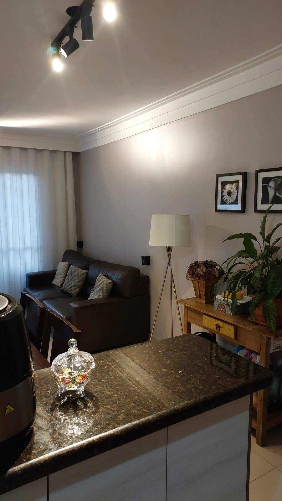 Apartamento à venda com 3 quartos, 67m² - Foto 7